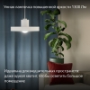 Вид 3